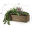Arrangement succulent Anre