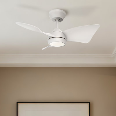 30" Ceiling Fan with Light & Remote for Small Rooms – Dimmable LED, Quiet DC Motor – Modern White Ceiling Fan for Nursery, Small Bedroom & Kitchen