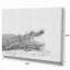 Crocodile noir et blanc - impression sur toile tendue-29497028