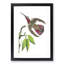 Purple-Tailed Hummingbird by George Shaw - Framed Print-55616584-55616588