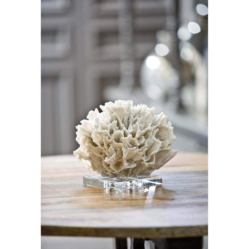 Ruban corail, Blanc