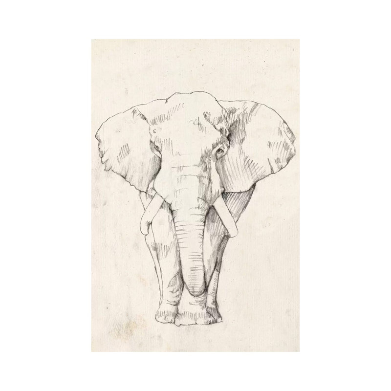 Elephant Portrait I by Jennifer Goldberger - Wrapped Canvas Print, 20.32 cm H x 30.48 cm W