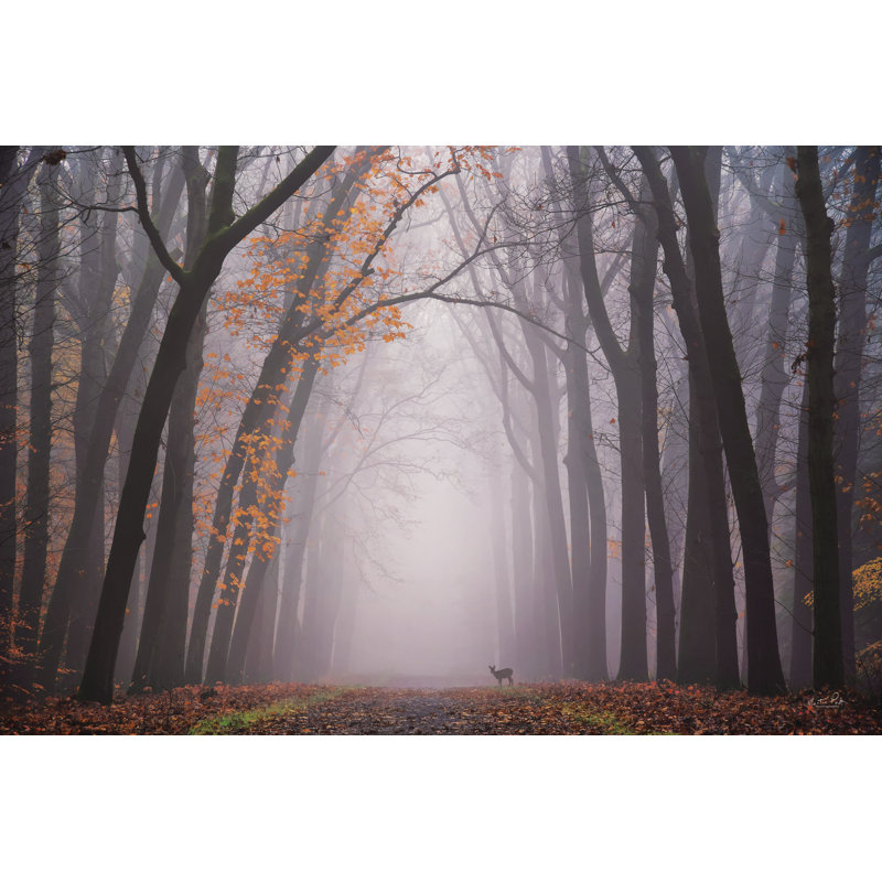 Cerf dans le brouillard, H 20 po x l 30 po, Non, Cadre simple érable érable