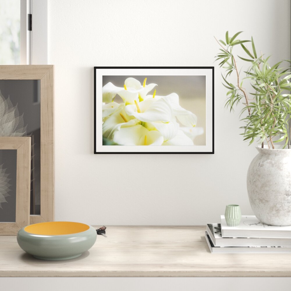 Gerahmter Fotodruck Beautiful White Calla Lilies