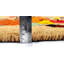 Tapis de porte en fibre de coco Harvest Bounty Pumpkin - 18 x 30 pouces (45,7 x 76,2 cm) avec dos en caoutchouc
