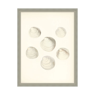 Sea Trinkets 1 Print by Studio L57 Nouvelle