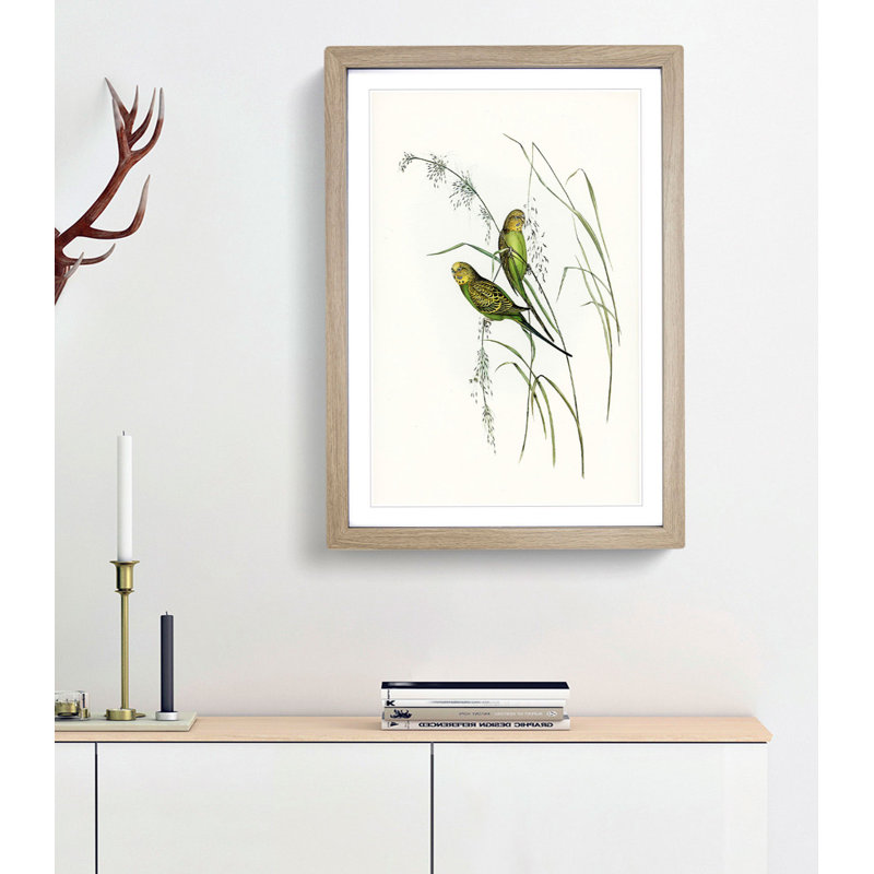 Warbling Grass-Parakeets by Elizabeth Gould - Framed Print, 48cm H x 36cm W x 2cm D, Oak Framed