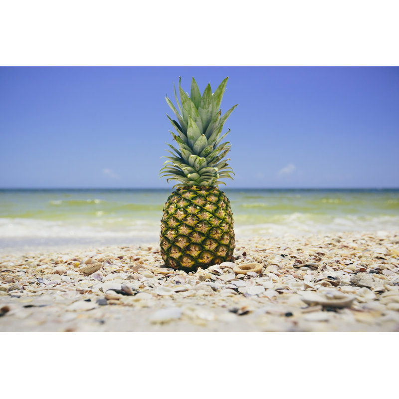 South Florida Pineapple II, 30cm H x 46cm W x 3.8cm D