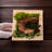 DIY Moss Wall Art Kit, Craft Project, Natural Gift, 6", 8", 10"
