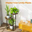 Plant Stand-618652295
