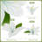 3D Lily Wall Decoration Set-9PCS