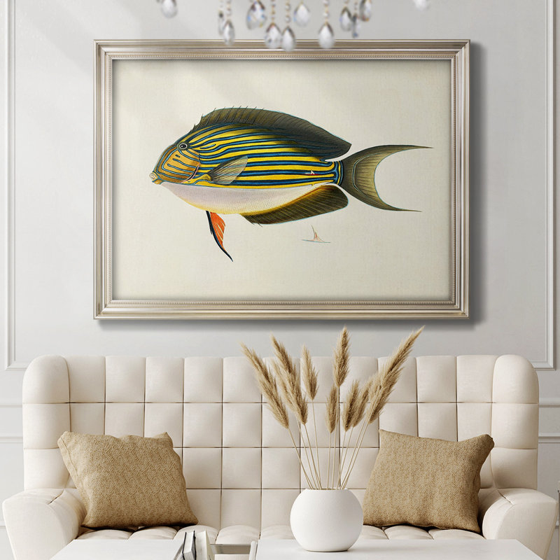 Collection de poissons tropicaux I - Collection de poissons tropicaux - imprimé, L 25 po x H 21 po