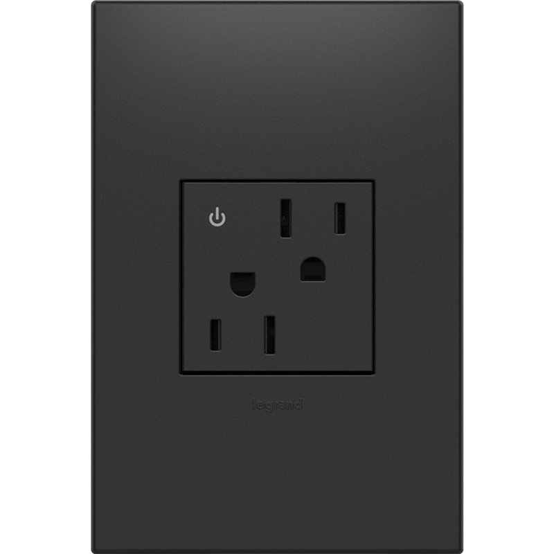 Prise de courant double standard inviolable Adorne® 15-Amp, Graphite