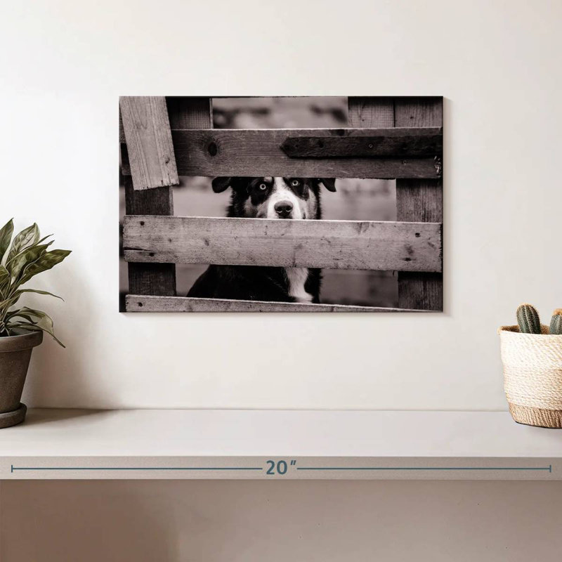 Crowle, regard de chien, H 8 po x l 12 po