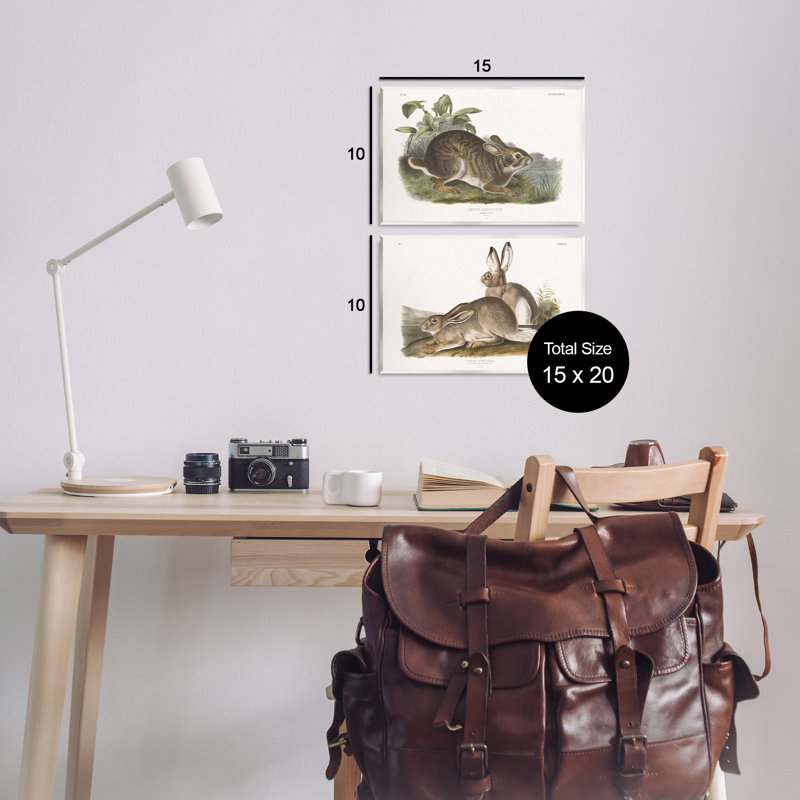«Gentle Resting Cottage Rabbit», ensemble de 2 plaques murales par Wild Apple Portfolio, H 10 po x l 15 po