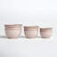 Lapis Pot Planter - Set of 3-1424471086