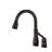 Leland Pull Down Single Handle Kitchen Faucet With Accessories-1975055207