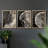 Abstract  Series  LI  -Set Of 3 Framed Giclee Prints -Ready to Hang-107252713-107252711