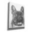 «French Bulldog 3» par Barbara Keith-522133086