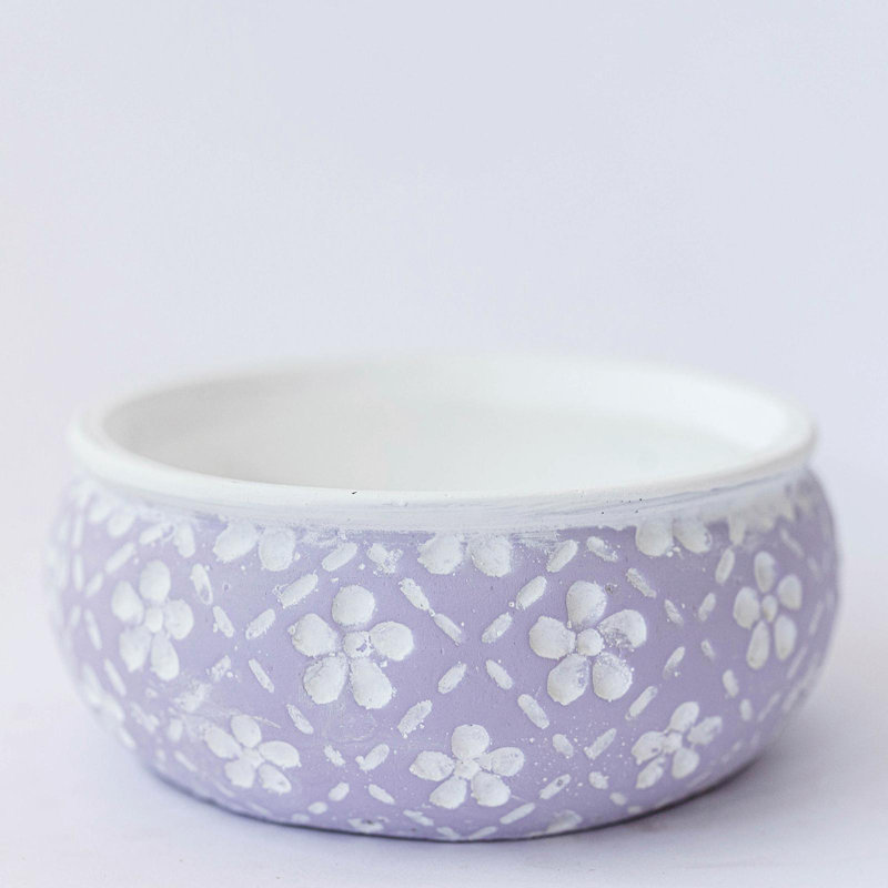Boîte à fleurs lavande avec fleurs blanches