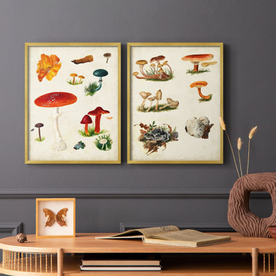 Mushroom Species VIII-Premium Framed Print -Ready to Hang - No Nails Required - No Nails Required