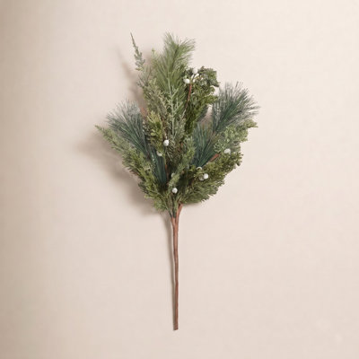 Cypress Pine Needle Stems