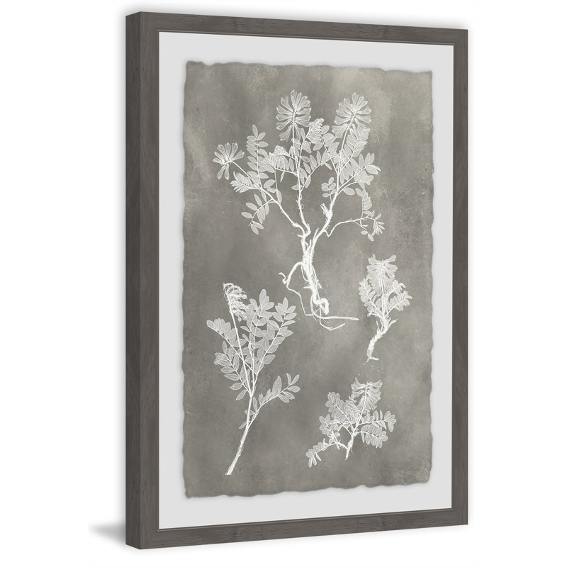 «Herbarium Study III», reproduction d'art encadrée, H 30 po x l 20 po x P 1,5 po