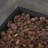35" SQUARE MGO FIRE PIT - 40000 BTU.