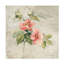 Œuvre sur toile «Cheri Blum Provence Rose I»-105717770