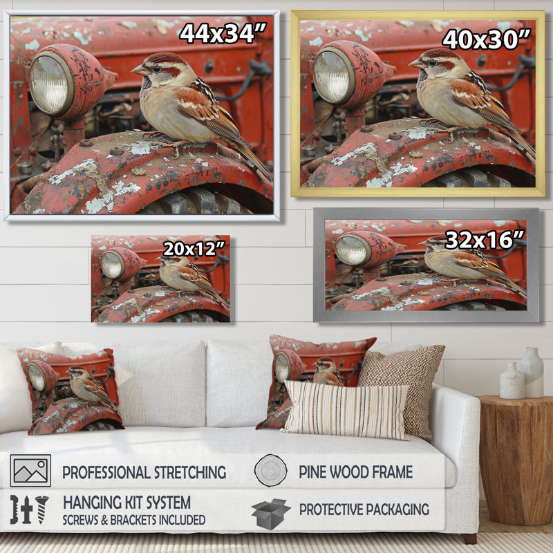 Oiseau moineau sur le tracteur I - oiseau, art mural, H 12 po x l 20 po, Cadre flottant, Noir