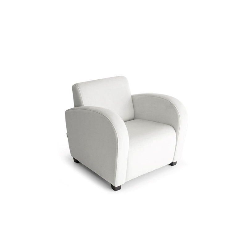Anusoya Upholstered Armchair