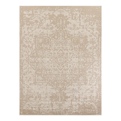 Indoor/Outdoor Traditional Area Rug