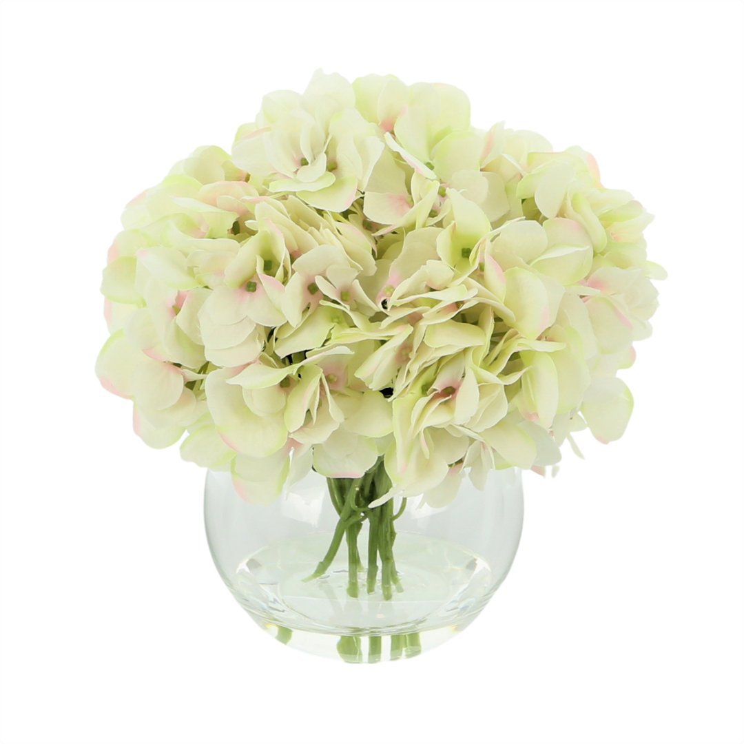 Carruth Hydrangea in Vase Gracie Oaks