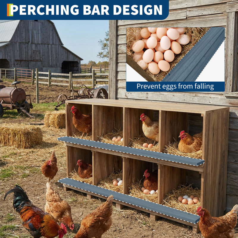 Chicken Coop
