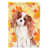 Blenheim Cavalier Spaniel