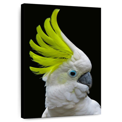 Brampt Yellow Crested Cockatoo