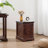 Ayrial Top End Table with Storage-976216010