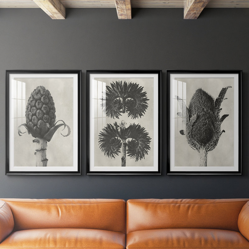 Blossfeldt Botanical IV - reproduction encadrée sur mesure de qualité supérieure - 3 pièces, Noir, H 21 po x l 30 po