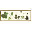 Kudzu Vine Print by Sandy Whitaker-114952168