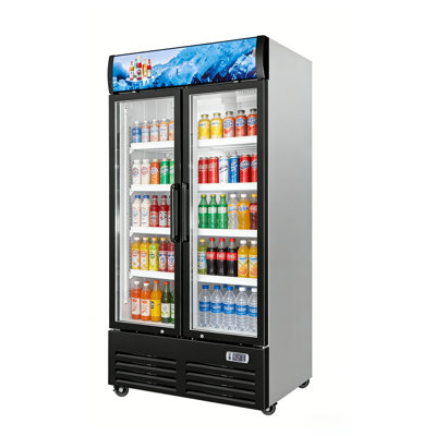 VITLIFE 26 Cu.Ft. Commercial Merchandiser Refrigerator, Double Glass Door Display Refrigerator with Adjustable Shelves, LED Light and Canopy, Auto Defrost, ETL Listed,