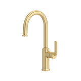 Authentica Bar/Food Prep Kitchen Faucet With C-Spout
