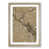 Oak Framed selected