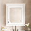 Armoire à miroir pour organisation de salle de bain - Fixation murale, matériau de construction-553094778