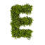 Plante buis artificielle 12"