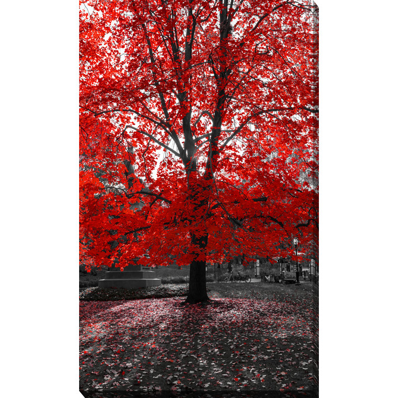 « red tree », reproduction de photo sur toile tendue, H 40 po x l 24 po x P 1 po