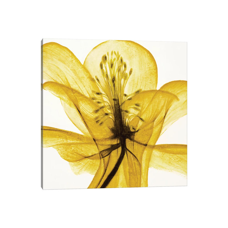 An Open Heart (Yellow) by Liz Jardine - Wrapped Canvas Painting, 30.48 cm H x 30.48 cm W