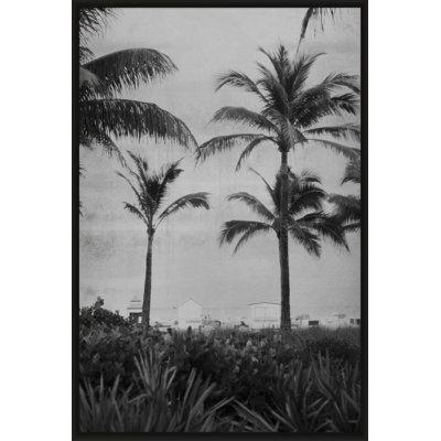 Silver Palms 1' Framed Photographic Print