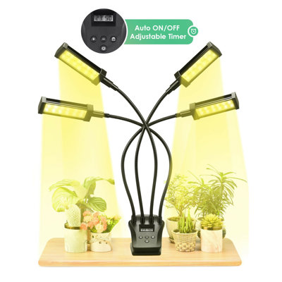Faariha Lamp