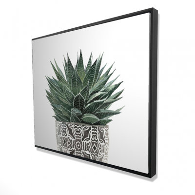 Zebra Plant Succulent Print On Canvas
