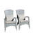 Patio Chair With Cushions( Grey Cushion)-224528816-224528818